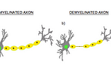 Liberal Arts Blog — Moral Algebra, Character, Equity, Income Statements and Balance Sheets, Myelin…