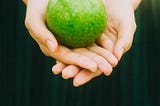 A vibrant green apple cupped in a woman’s hands. Healthy food is hard to come by for poor people, especially on food stamps.