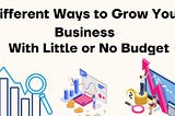 Different Ways to Grow Your Business With Little or No Budget