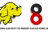 Integrating Hadoop with LVM to provide elasticity to cluster