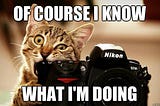 A cat chews on an expensive Nikon camera. Clearly this cat knows what he is doing. Large text reads: Of Course I Know What I’