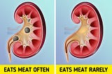 This Happens to Our Body When We Eat Too Much Meat