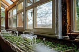 ZMAG in Croatia: The Region’s Reference for Permaculture, Community, and Good Economy