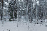 Atolando na neve