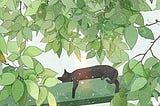 HAIKU (seasons/nature)