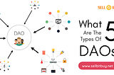 What Are The 5 Types Of DAOs?