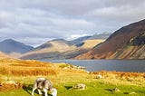 New year, new you? Make your New Year resolutions happen by visiting the Lake District