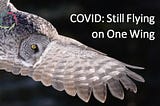 32. COVID: Still Flying on One Wing