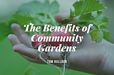 The Benefits of Community Gardens