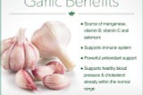 Growing Garlic for Beginners: The Definitive Guide