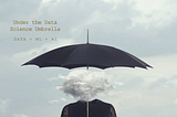 Under the DS Umbrella : A Complete Guide