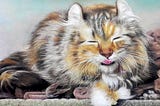 Nine Awesome Reasons To Own A Cat Portrait — The Art of Catz