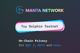 Manta — Dolphin Testnet. Мы расскажем, как получить Airdrop