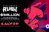 Salvor riceverà una sovvenzione da 1M di dollari di incentivi Avalanche Rush per la più importante…