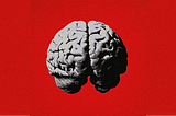 Does Influenza Raise the Risk of Dementia? An Updated Meta-Analysis