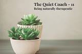 The Quiet Coach-11