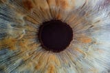 20/20 Vision: Peircing the Veil of Possibilities| The Let Go