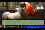 full video horse video orange shirt twitter • orange shirt horse video • horse video orange shirt • the horse video twitter • the horse video《 MICHAEL HANLEY MR HANDS HORSE VIDEO WATCH NOW 》