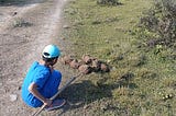 A Journey of Discovery: Tales from Manas National Park (travelogue)