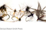 Trout Flies Guide