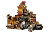 Monkeys climbing on a stack of books