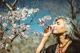 A middle-aged woman smelling apple blossoms outside in sunlight and a field