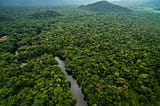 Significant forest conservation gains in Brazil and Colombia in 2023, but global deforestation…
