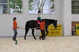 Equine-Assisted Therapy: What Is It All About?