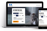 Battersea smashes online giving targets following digital donation revamp