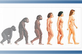 Male cultural evolution : Are we just apes?