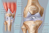 Common causes of Chronic Knee Pain: prevention and treatment options