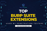 Top Burp Suite Extensions Used by Penetration Testers