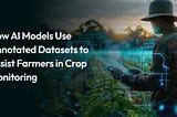 Enhancing Crop Monitoring through Data Annotation