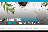 Botanical Ingredients In Skincare