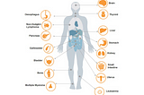 Rare Cancers and the Role of Biomarker Testing In Addressing Their Challenges