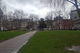 An empty park in London, UK. Leafless trees are silhouetted against a cloudy grey sky.