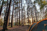 Camping: A dive into nature.