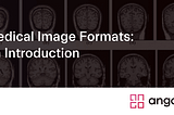 Medical Image Formats: An Introduction