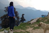 IMG_20170509_113458387