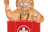 Best Cat First Aid Kit: A Complete Guide for Your Feline Companion