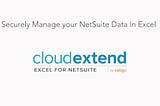 How to work with newly added field in NetSuite in CloudExtend Excel for NetSuite