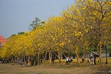 The Beautiful Chung Cheng Campus