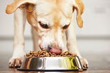 Data Quality: A Lesson in Eating Your Own Dog Food