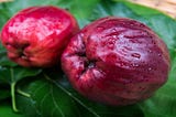 Otaheite Apples