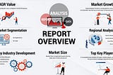 Packaged Software Market Insights: Strategies for Success in 2024 and Beyond