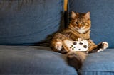 Long-haired orange and gray tabby cat sitting comically with hind legs splayed out on a blue denim couch, holding a Nintendo controller in its lap with its paw.