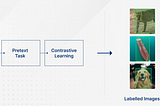 How to Reduce Training Data with Self-Supervised Learning