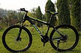 Curious Case of the Stolen Bikes