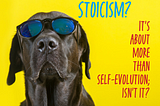 Bro-icsm? Broism? Stoicism?