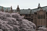 Flowers, Trees, University of Washington